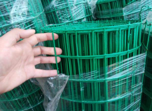 涉县荷兰网